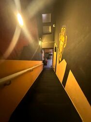 Veerasamy Road (D8), Shop House #518513301